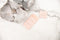 Light Peach Pink Hook and Eye Bra Closure 2 x 3 for 2 pairs